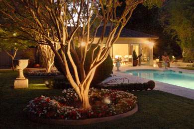 landscape lighting around backyard pool